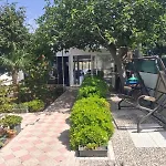 Tolga داليان