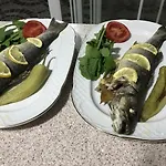 Tolga 2* داليان