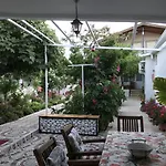 Tolga 2* داليان