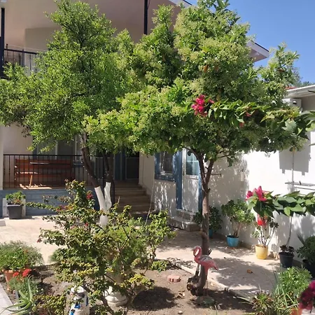 Tolga 2* داليان