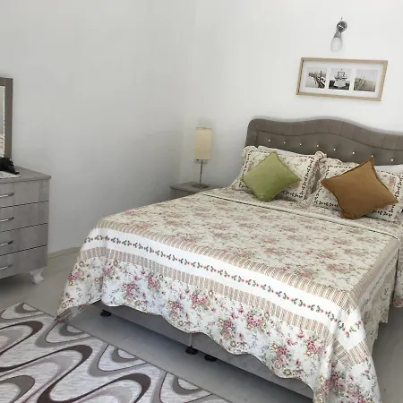 Tolga 2* داليان